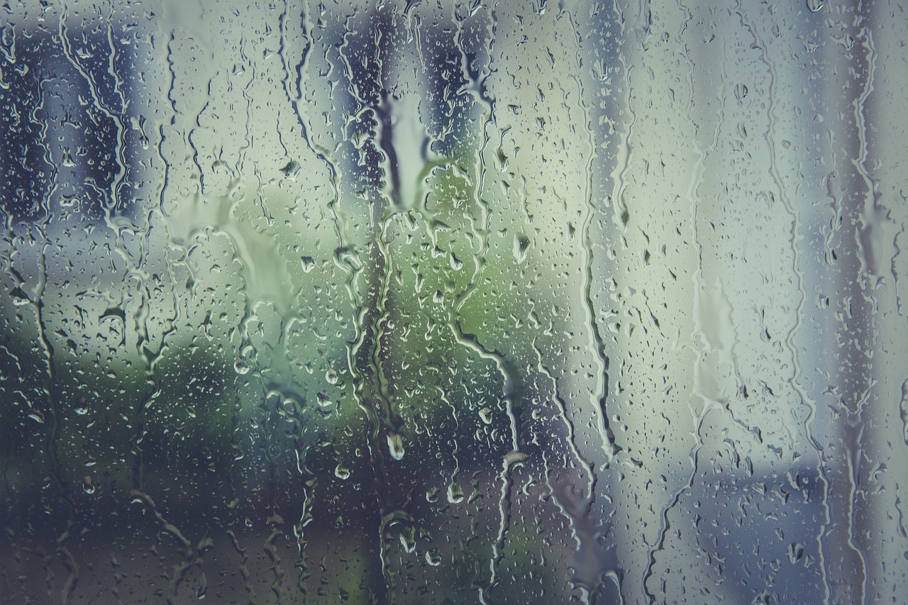 Moisture and Efflorescence. Photo of a wet, foggy window.